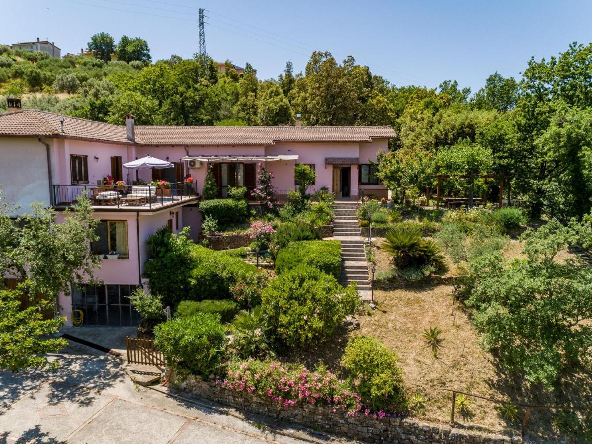 אוליאסטרו צ'ילנטו B&B Albachiara Casa Di Campagna מראה חיצוני תמונה