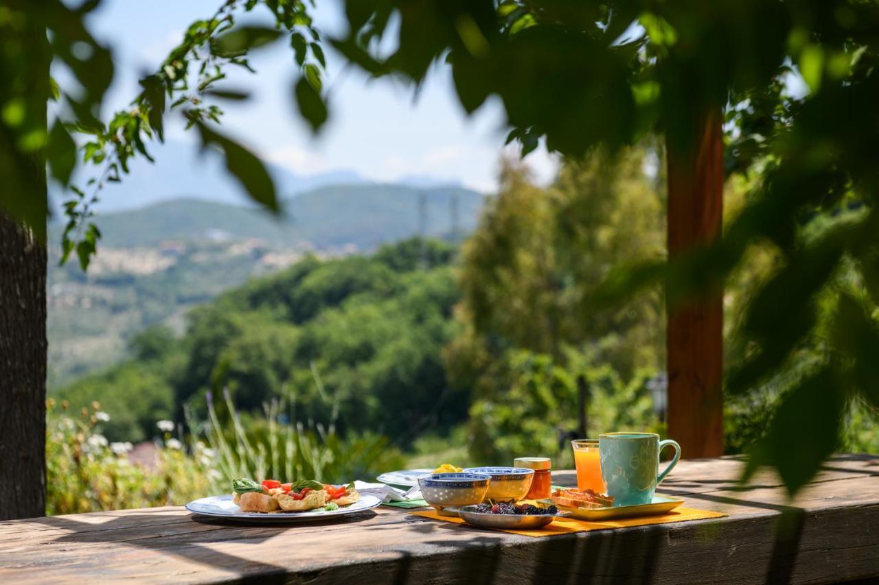 אוליאסטרו צ'ילנטו B&B Albachiara Casa Di Campagna מראה חיצוני תמונה