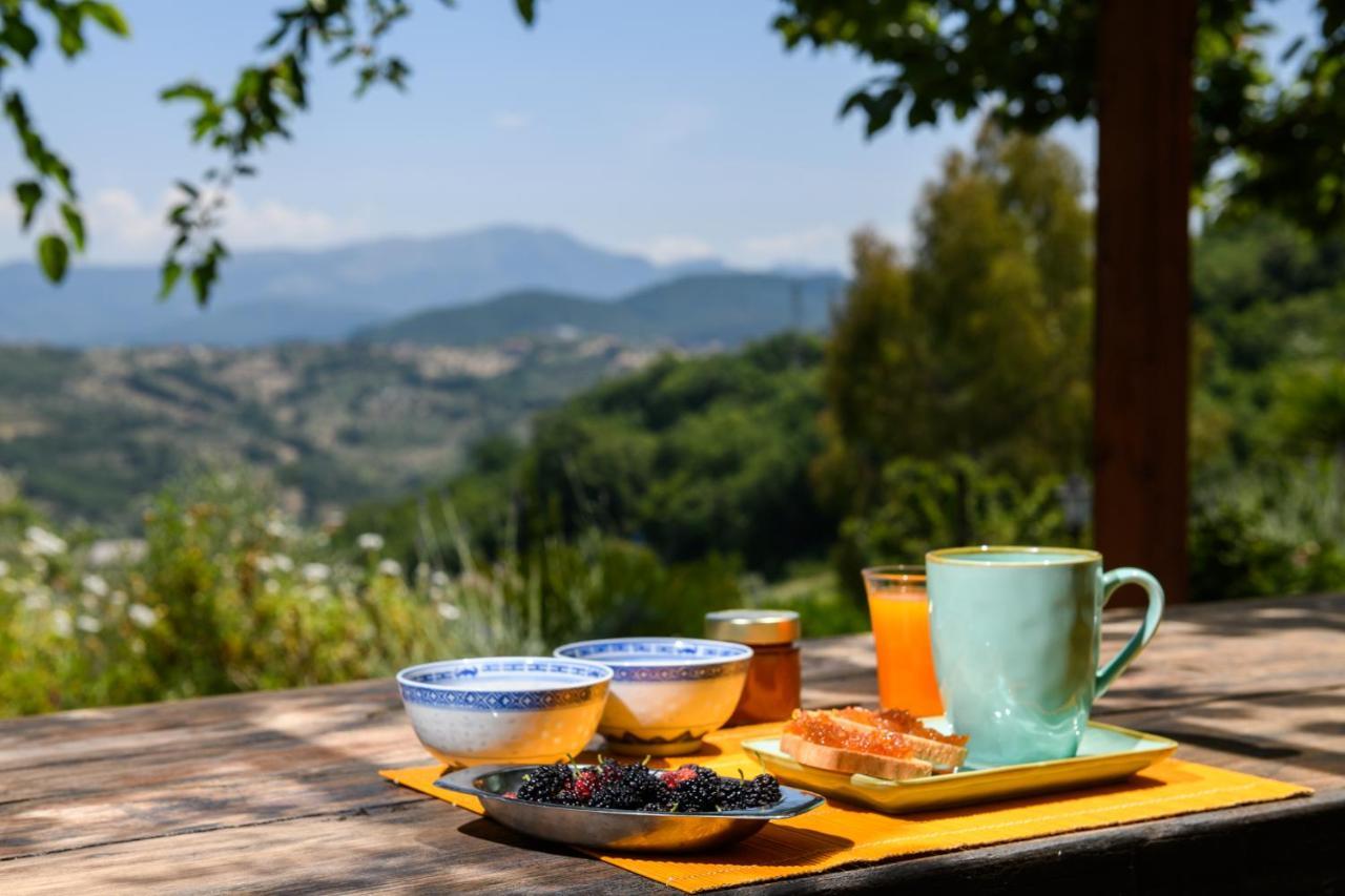 אוליאסטרו צ'ילנטו B&B Albachiara Casa Di Campagna מראה חיצוני תמונה