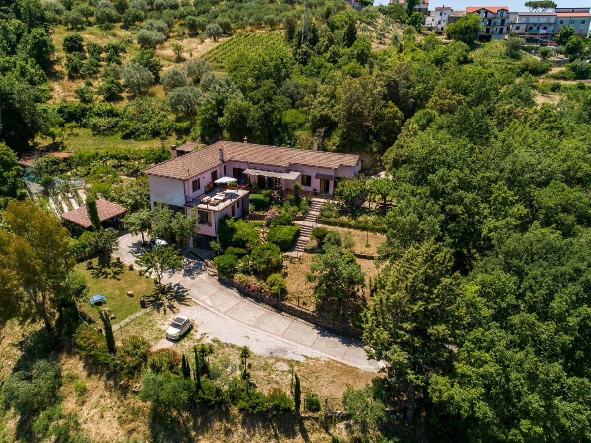 אוליאסטרו צ'ילנטו B&B Albachiara Casa Di Campagna מראה חיצוני תמונה
