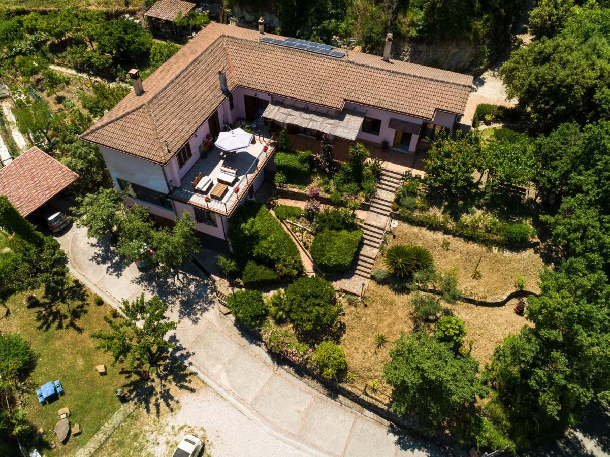 אוליאסטרו צ'ילנטו B&B Albachiara Casa Di Campagna מראה חיצוני תמונה