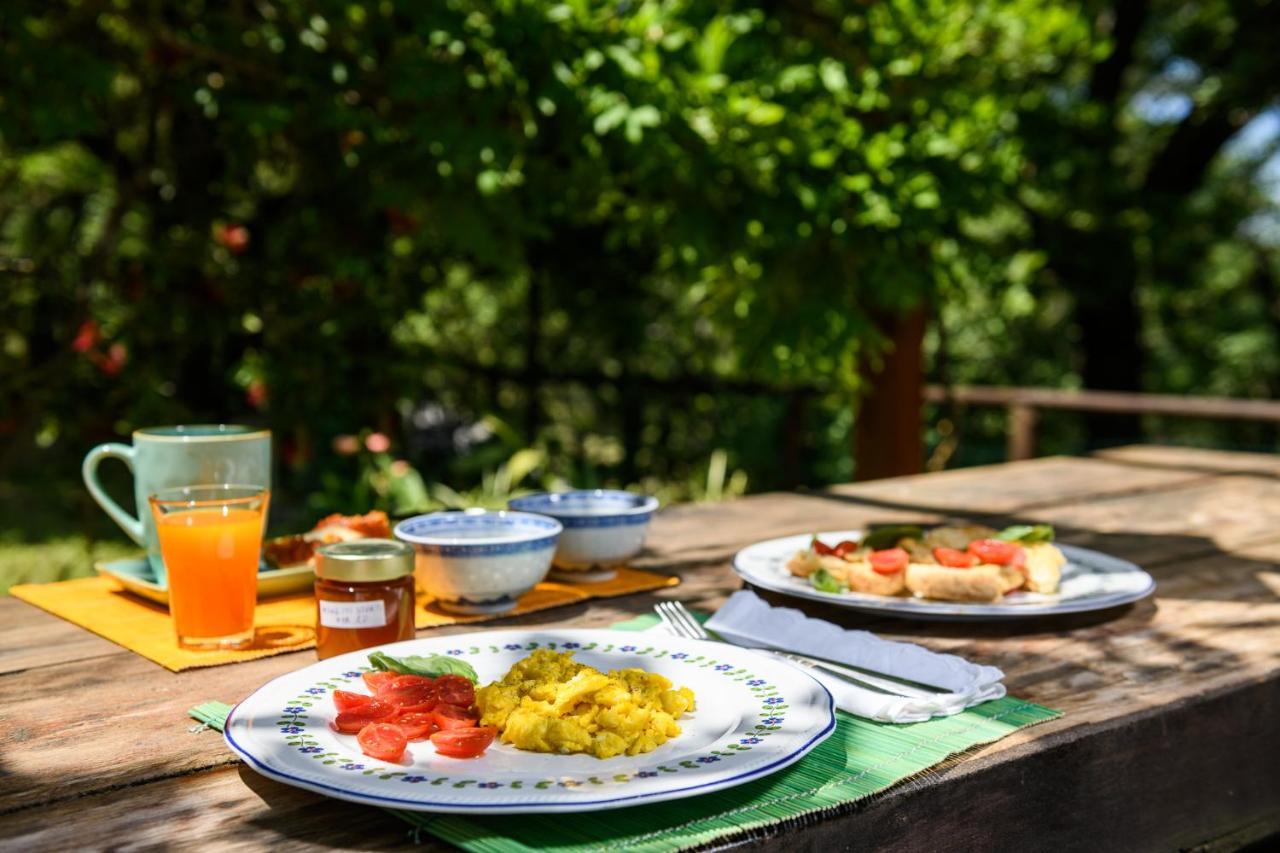אוליאסטרו צ'ילנטו B&B Albachiara Casa Di Campagna מראה חיצוני תמונה