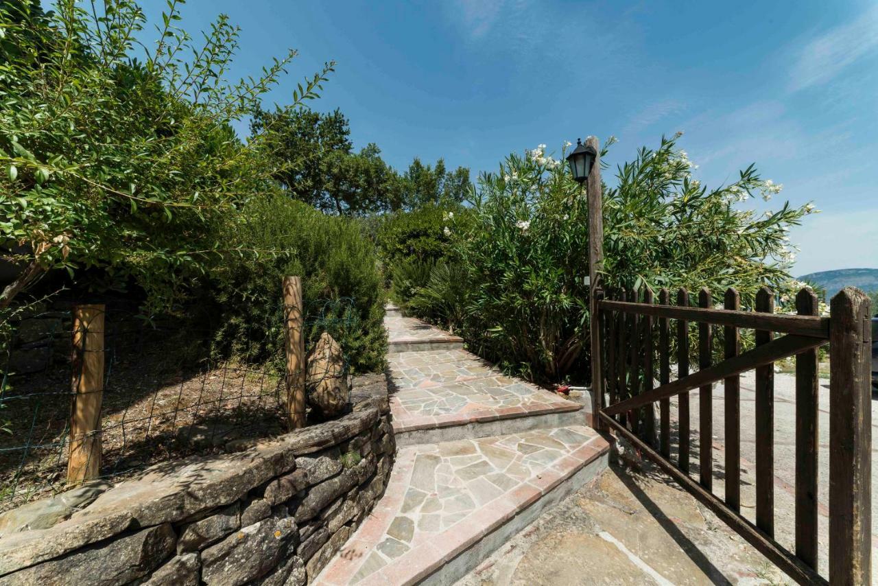 אוליאסטרו צ'ילנטו B&B Albachiara Casa Di Campagna מראה חיצוני תמונה